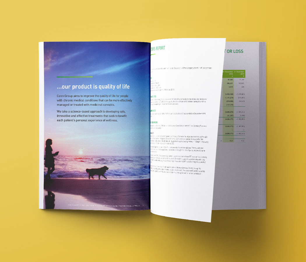 CANN Group Annual Report Design